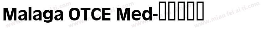 Malaga OTCE Med字体转换